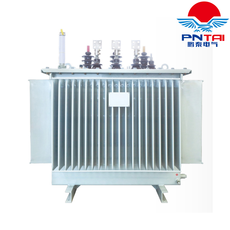 S20 oil-immersed distribution transformer